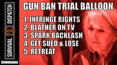 The Dark Truth Behind New Mexico Governor's 2nd Amendment Infringement
