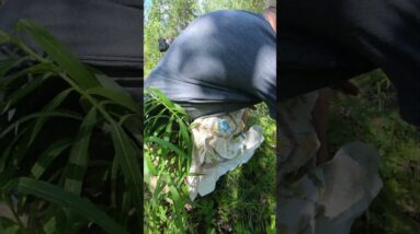 WAZOO Bandana | TJack Survival