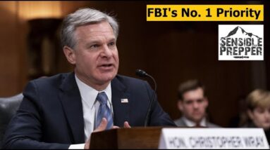 Official FBI Warning : The No. 1 Domestic threat to the U.S.