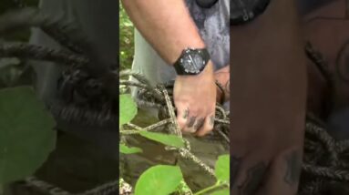 The Art Of Survival  Scavenging After SHTF