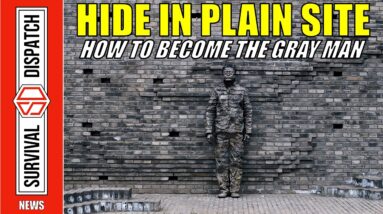 URBAN SURVIVAL: How to Become The Gray Man