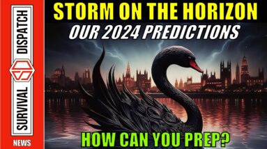 2024 Doom & Gloom Predictions & What You Can do to Prepare
