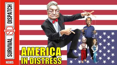 Failing America: Biden's Complete Surrender of our Southern Border