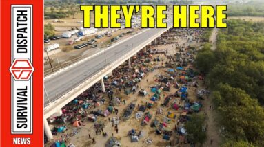 Fighting Age Males Overwhelm Border