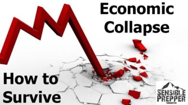 How to Survive an Economic Collapse : Ways to Thrive