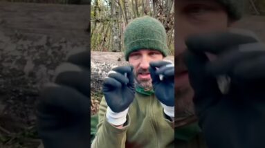 Layered Survival!