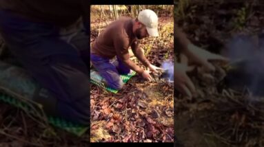 Must Know Survival Tips!