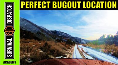 The Bugout Video: Essential Tips & Tricks