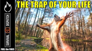 FEED YOUR FAMILY IN THE SHTF