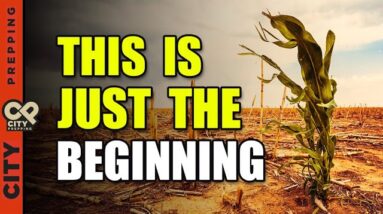 If What They Say is True, You Should Be Getting Prepared…