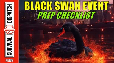 Prepping For a 2024 Black Swan Event | Essential Survival Guidance