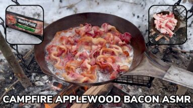 Solo Overnight Campfire Bacon ASMR in the Snow