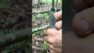 SOLO SURVIVAL Tips That May Save Your Life | ON3 Jason Salyer