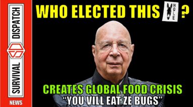 Stockpile Food NOW!!! WEF Manufactured Global Food Crisis Underway