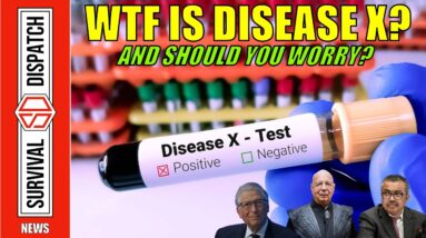 The WEF, Disease X & How You Can Prepare For it