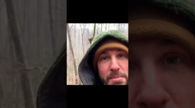 Wilderness Shelter