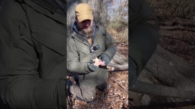 FEED YOUR FAMILY IN THE SHTF