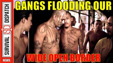Violent Gangs Cross Border