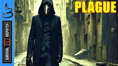 The Next Pandemic