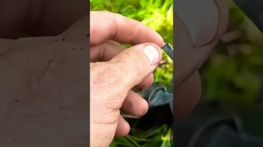 Amazing Fire Hack For Wet Weather!
