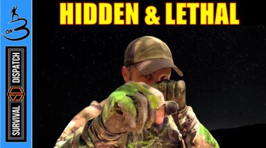 Disappear & Become Dangerous During SHTF | Camouflage Secrets