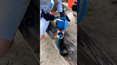 Salt Water Survival!