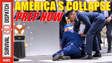 Surviving the Aftermath of America's Collapse