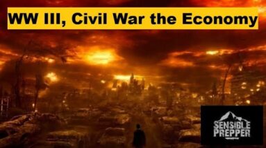 WW III, Civil War and the Economy : Things to Consider