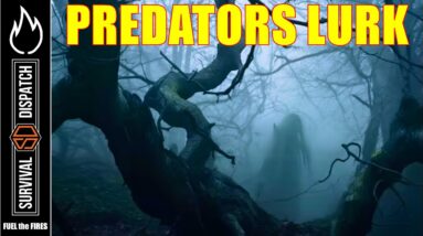 HIDDEN DANGERS: Real-Life Search & Rescue Stories from the Park