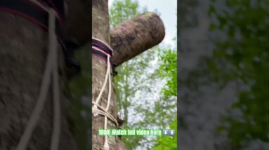 How Many Pounds Does This Homemade Net Hold?