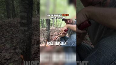 🕯️Get Light Quick! Pine Resin for Makeshift Candles @SurvivalDispatchNews is our new channel!