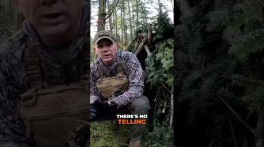 Finding Your Way Out of the Woods: Assess Your Risks @SurvivalDispatchNews is our new channel!