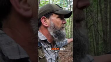 Bugout Navigation Tips: Traveling Draws - SDN has moved to RUMBLE link in description