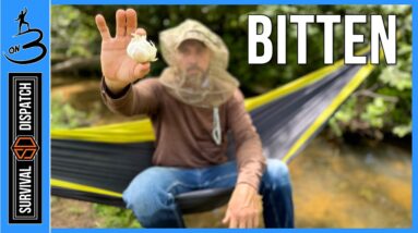 Avoiding the Bites | Insect Remedies and Repelants