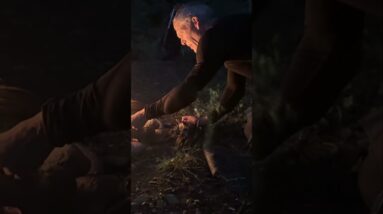 Burn This & Wilderness Coffee Recipe!  @SurvivalDispatchNews