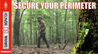 SURVIVAL 101| Secure Your Perimeter!