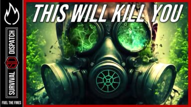 SURVIVAL SECRETS: Small Dangers, BIG Consequences