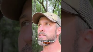 Surviving Difficult Times with Alternative Ways to Provide @SurvivalDispatchNews is our new channel!