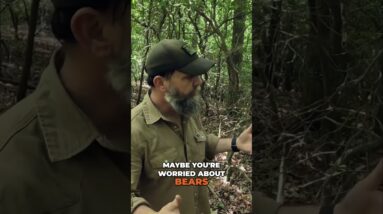 🔍 Finding the Avenue of Approach to Your Site @SurvivalDispatchNews is our new channel!