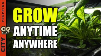 How To Grow Your Food Indoors - Eden Grow System