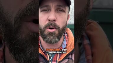 Finding Food in Urban Areas when SHTF | SDN is on RUMBLE link in description