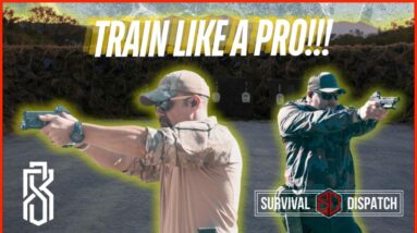 Professional Training Tips for the Everyday Person