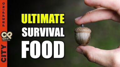 Ultimate Overlooked Survival Food