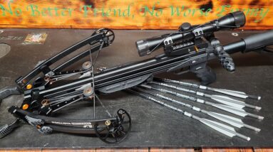 MEGABAT IS MEGADEATH CROSSBOW