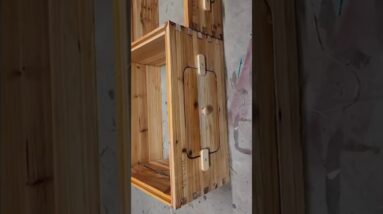 More Beehives