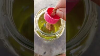 Survival Hacks