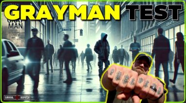 Grayman in Action: Test Your Awareness