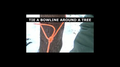 How To Tie a Bowline Around a Tree