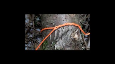 How To Tie a Timber Hitch