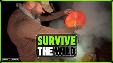 Learn to Survive with Just the Basics